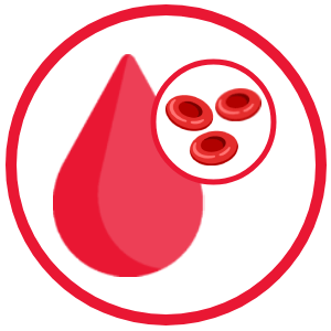 blood components icon