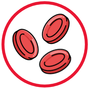 red blood cells